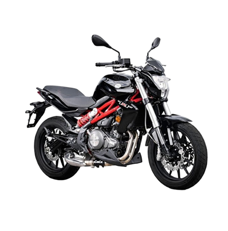 Benelli TNT 300