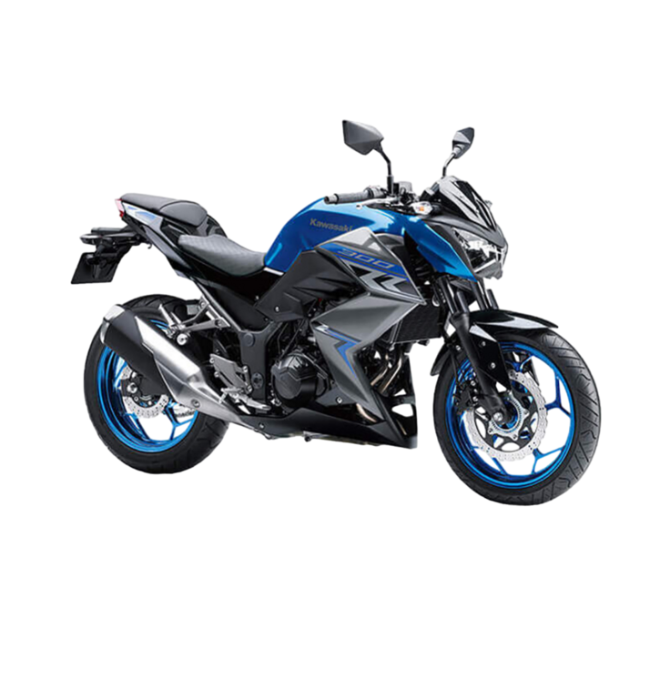 Kawasaki Z300